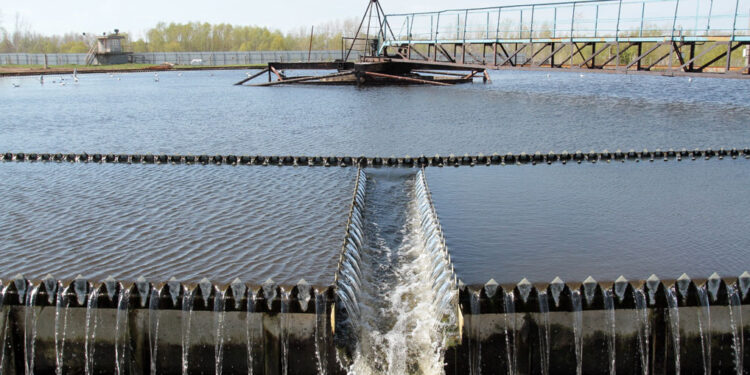 Новокуйбышевские нефтехимики за последние полтора года приняли участие в десятках экоакций