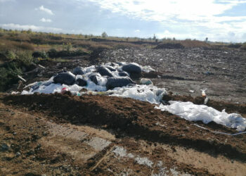 ФПК «Самарский завод «Коммунар» заплатит более 43 млн ущерба за нанесенный вред почве