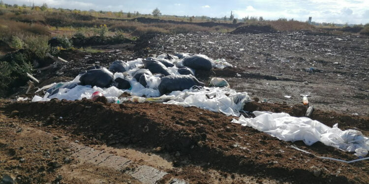 Фото: Межрегиональное управление Росприроднадзора по Самарской и Ульяновской областям