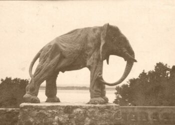 Глава самарского правительства призвал самарцев поделиться символами 