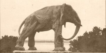 Глава самарского правительства призвал самарцев поделиться символами 