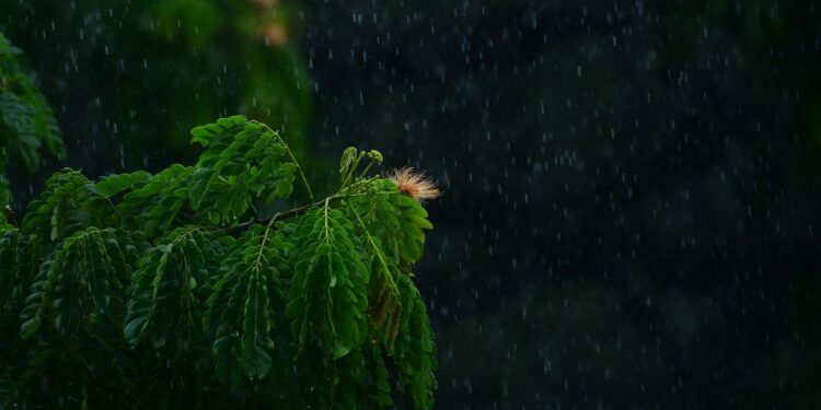 Фото: Sreenivas: Unsplash