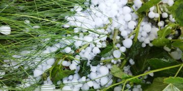 На Тольятти 1 июля обрушился крупный град