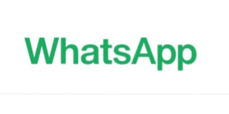 Фото: скриншот приложения WhatsApp