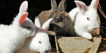 Афиша выходного дня: куда сходить в Самаре с 11 по 13 июля