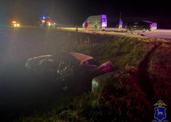 В Самарской области вечером 24 августа в ДТП погиб мужчина, менявший колесо авто