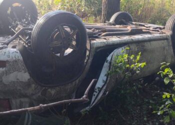 В Самарской области в ДТП с деревом погиб водитель иномарки