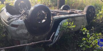 В Самарской области в ДТП с деревом погиб водитель иномарки