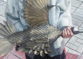 В Самарской области похититель скульптуры утки стал фигурантом уголовного дела