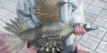 В Самарской области похититель скульптуры утки стал фигурантом уголовного дела