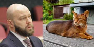 «Кошачье творчество» самарского премьер-министра рискует остаться недооцененным