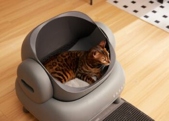 Управляющей самарским магазином Bosco грозит уголовное дело