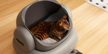 Управляющей самарским магазином Bosco грозит уголовное дело