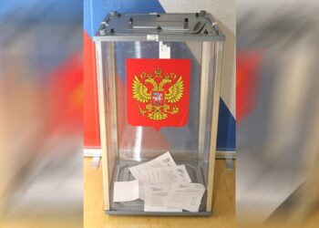 Ветераны СВО защищают интересы страны на гражданской службе и в политических партиях