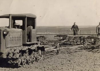 Победы на полях