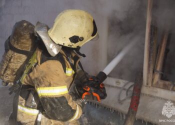 В Самарской области в ночном пожаре погибли два человека