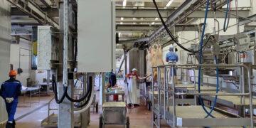 Крупнейший самарский свинокомплекс выстроил полный цикл производства мяса