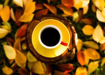 Афиша выходного дня: куда сходить в Самаре с 26 по 28 сентября