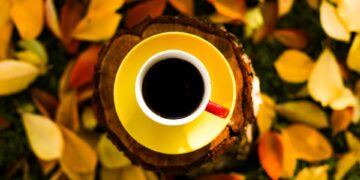 Афиша выходного дня: куда сходить в Самаре с 26 по 28 сентября