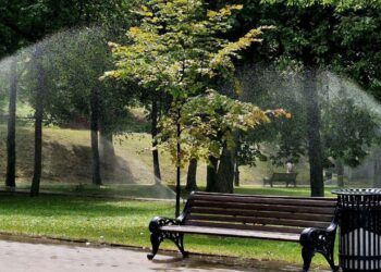 В Самарскую область вернется жара до 29°C