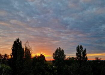 Туман и заморозки до -2 °С: что готовит погода для Самарской области