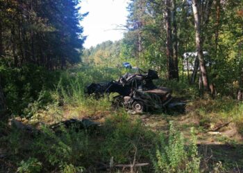 В Самарской области, врезавшись на автомобиле в дерево, погиб пенсионер