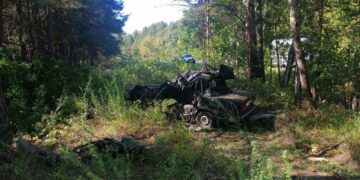 В Самарской области, врезавшись на автомобиле в дерево, погиб пенсионер