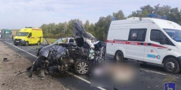 Три человека погибли в массовой аварии на трассе М-5 «Урал» в Самарской области