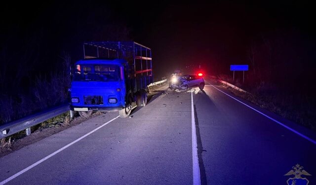 В Самарской области водитель погиб, ремонтируя авто в темноте