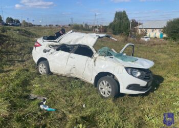 В Самарской области в ДТП погиб водитель Lada Granta