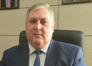 После визита в Кинельский район самарский губернатор отправил его главу в отставку