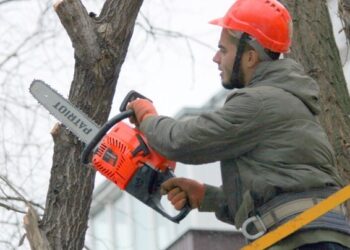 Во дворах Новокуйбышевска стартует кронирование деревьев по заявкам жителей
