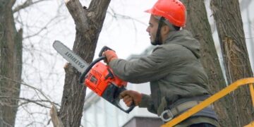 Во дворах Новокуйбышевска стартует кронирование деревьев по заявкам жителей