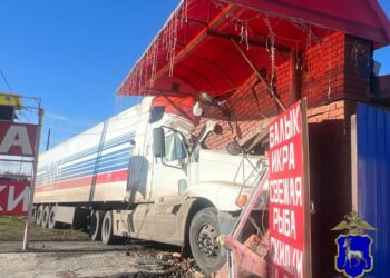В Самарской области большегруз врезался в здание рыбного магазина