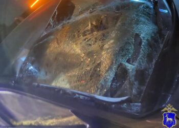 В Самарской области водитель иномарки насмерть сбил лошадь