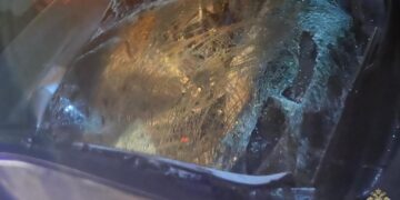 В Самарской области водитель иномарки насмерть сбил лошадь