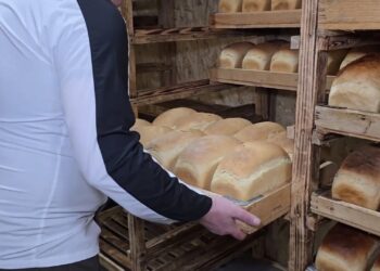 Кулинарное искусство в блиндаже