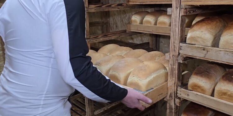 Кулинарное искусство в блиндаже