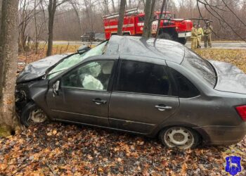 В Самарской области водитель Лады Гранты насмерть сбил лося и съехал в кювет