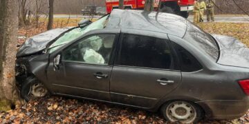 В Самарской области водитель Лады Гранты насмерть сбил лося и съехал в кювет