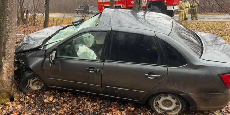 Фото: ГУ МВД России по Самарской области