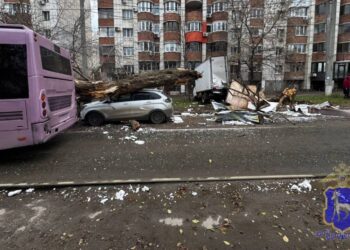 Фото: ГУ МВД России по Самарской области