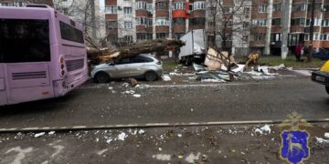 В Самаре автобус протаранил Газель и свалил дерево на Lada X-Ray