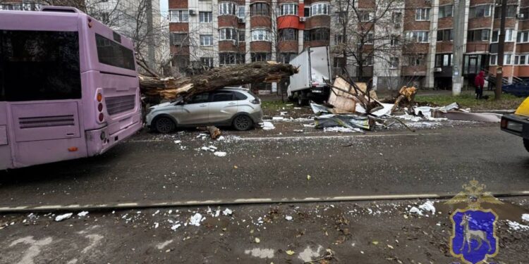 В Самаре автобус протаранил Газель и свалил дерево на Lada X-Ray