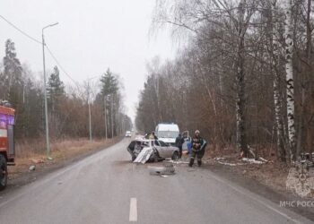 Фото: t.me/mchs_samara