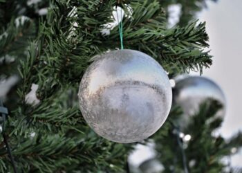 В Струковском саду и парке Гагарина в Самаре к Новому году появятся ели высотой с трехэтажный дом