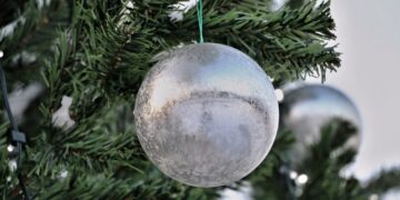 В Струковском саду и парке Гагарина в Самаре к Новому году появятся ели высотой с трехэтажный дом