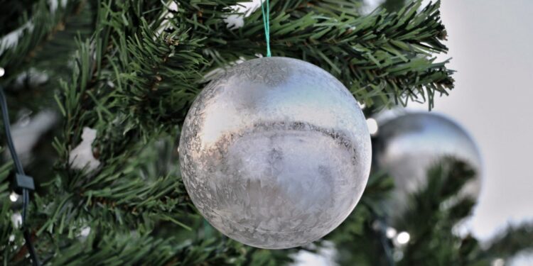 В Струковском саду и парке Гагарина в Самаре к Новому году появятся ели высотой с трехэтажный дом