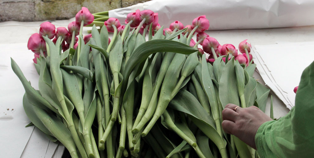 Фото: Игорь Горшков