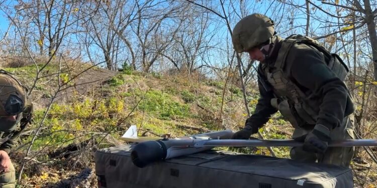 Фото: Денис Хряпин